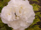 P1230254