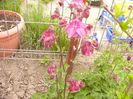 P1230257