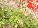 P1230260