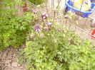 P1230261