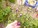 P1230271