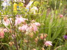 P1230282