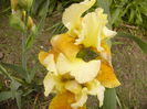 P1230291