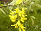 P1230298