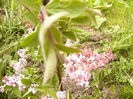 P1230303