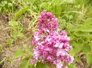 P1230305