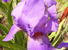 P1230326