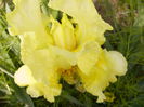 P1230331