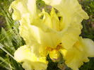 P1230332