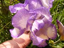 P1230333