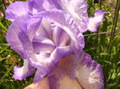P1230334