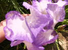 P1230335
