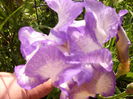P1230336