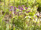 P1230339