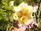P1230354