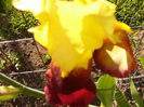 P1230358