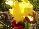 P1230359