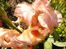 P1230362