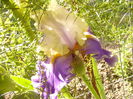 P1230364
