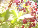 P1230377