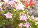 P1230380