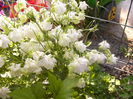 P1230385