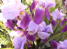 P1230393