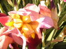 P1230396
