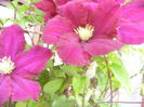 P1230420
