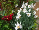 9 mai 025