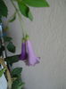 DSCN7551