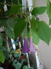 DSCN7553