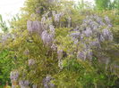 DSCN7569