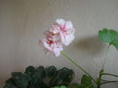 DSCN7579