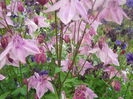 DSCN7584