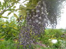 DSCN7586