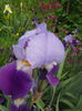 DSCN7593