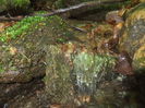 DSCF9356