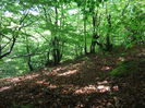 DSCF9342