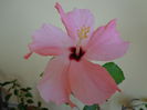 DSC07105
