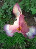IMG_20150505_190104
