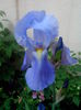 IMG_20150506_194209