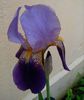 IMG_20150507_143717-1