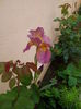 IMG_20150507_143732