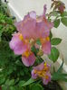 IMG_20150510_103717