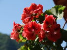 DSC00467