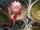 SAM_9356