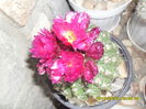 SAM_9358