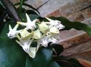 20150511_101650