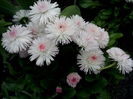 IMG_20150511_172409